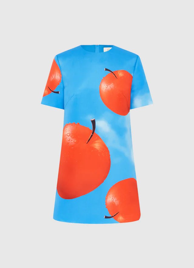 Alexa T-Shirt Mini Dress - Apple Print - SODA Fashion Haus