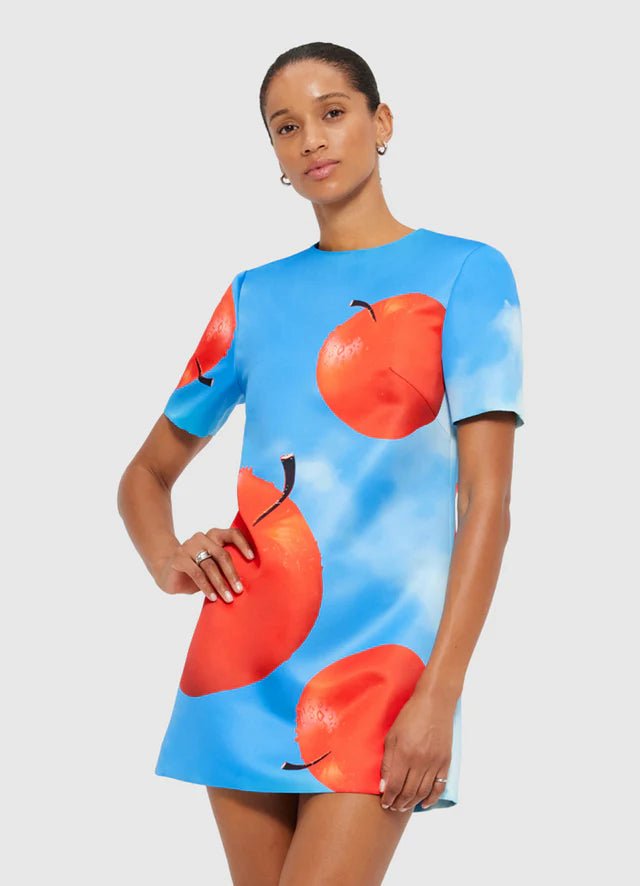 Alexa T-Shirt Mini Dress - Apple Print - SODA Fashion Haus