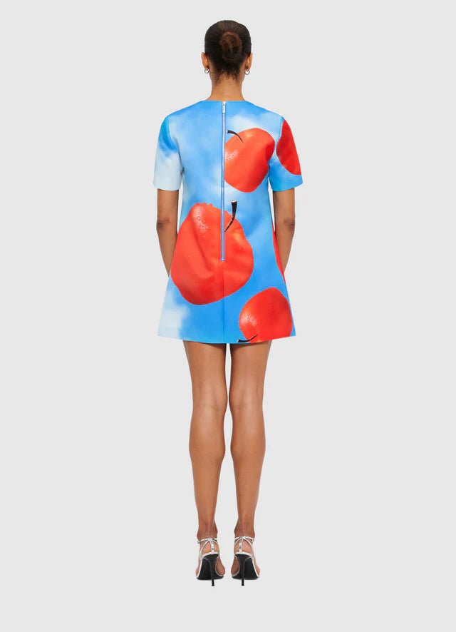 Alexa T-Shirt Mini Dress - Apple Print - SODA Fashion Haus