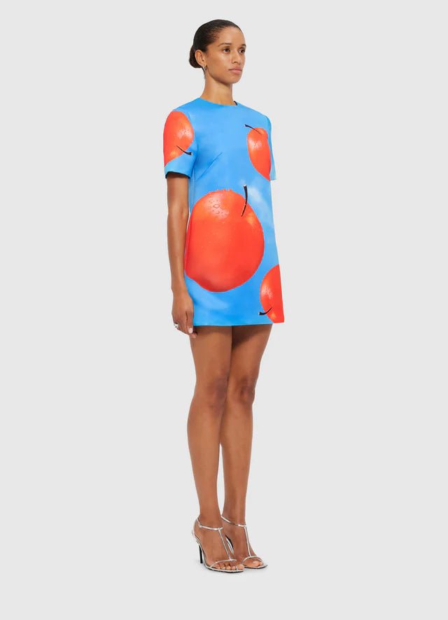 Alexa T-Shirt Mini Dress - Apple Print - SODA Fashion Haus