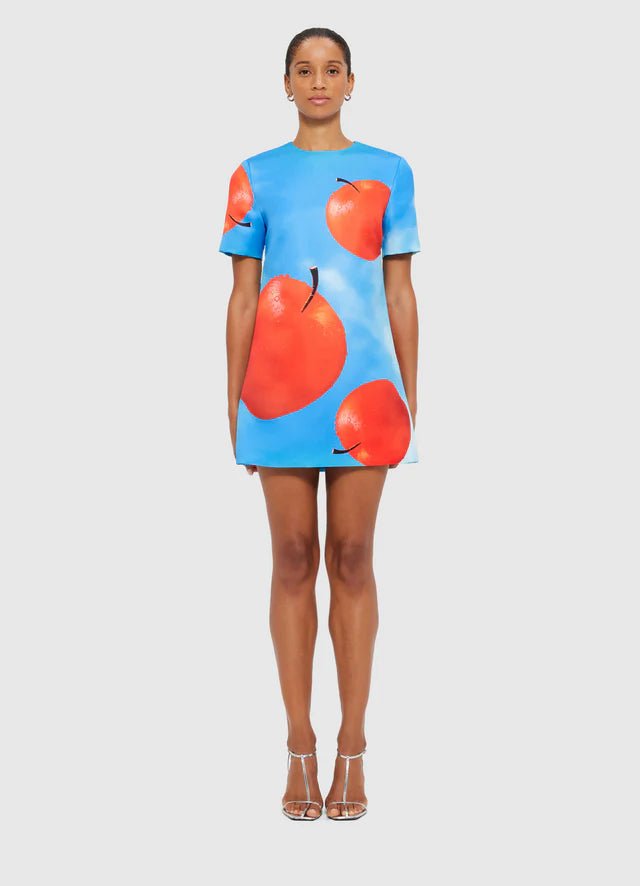Alexa T-Shirt Mini Dress - Apple Print - SODA Fashion Haus