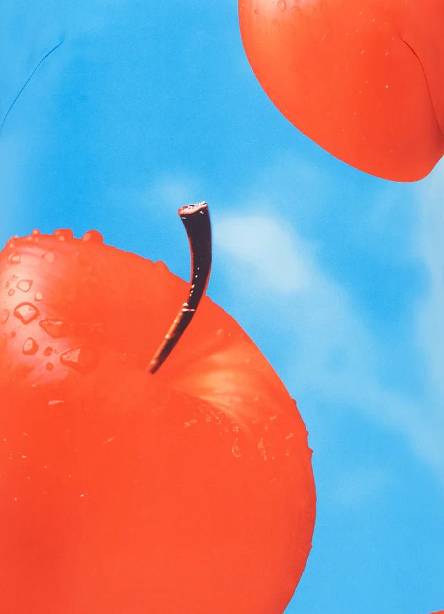 Alexa T-Shirt Mini Dress - Apple Print - SODA Fashion Haus