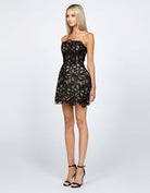 Cardy Strapless Off Body Mini - SODA Fashion Haus